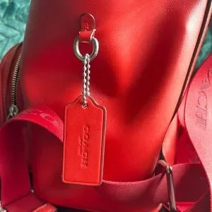 Coach | Bags | Coach Red Backpack With Sleek Design And  display picture 1